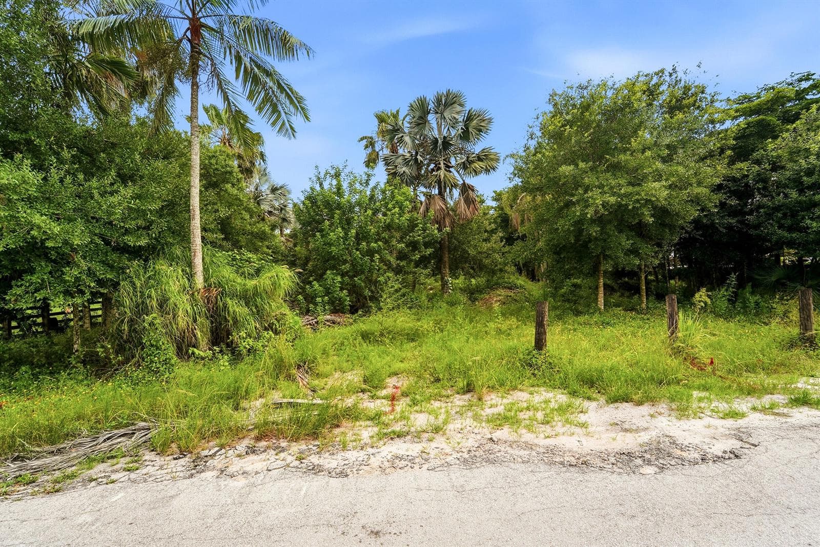 9080 NW 72nd Street, Parkland, FL 33067 — zdjęcie 5