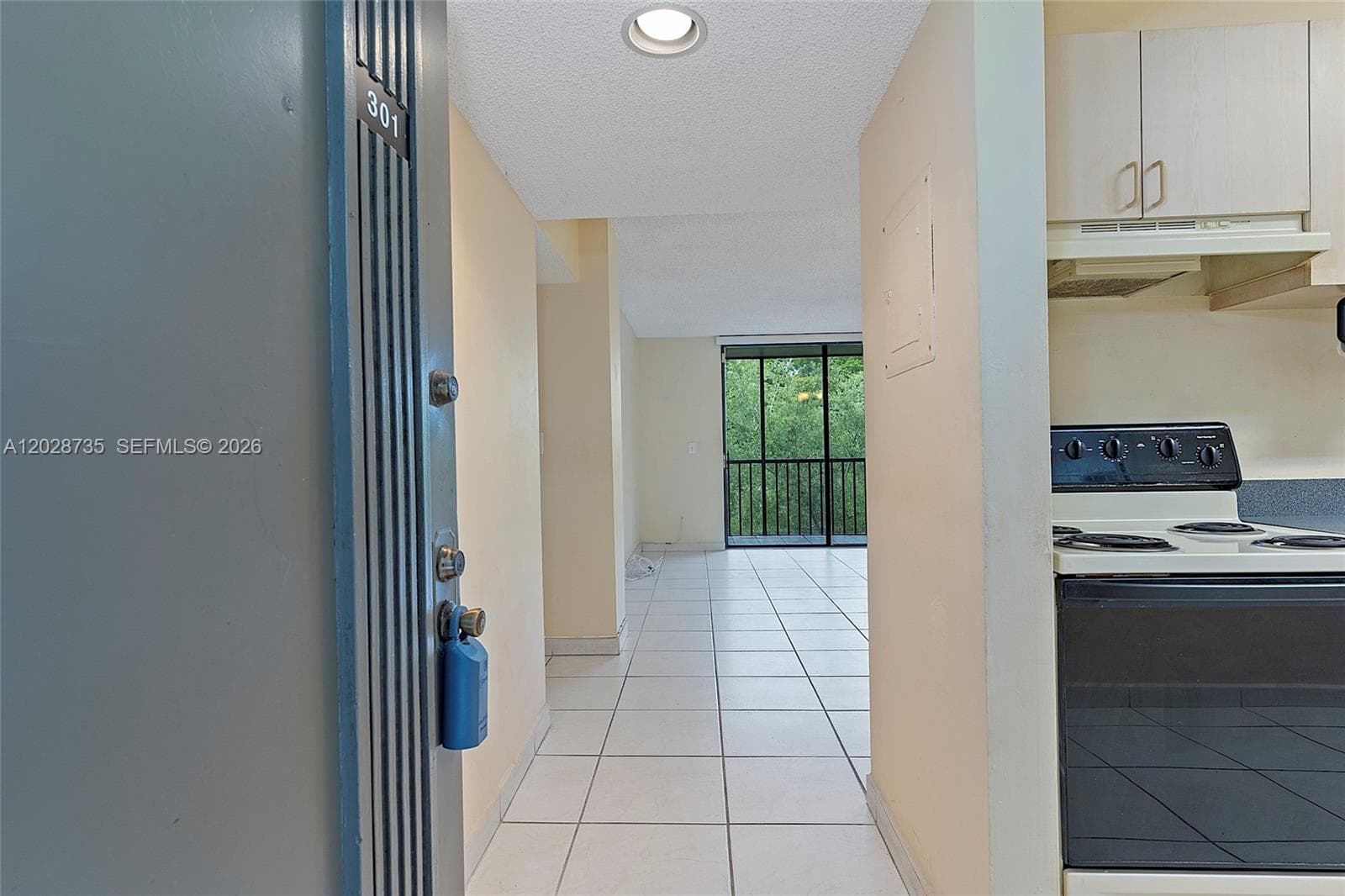 8760 SW 133rd Ave Rd # 301, Miami, FL 33183 — zdjęcie 4