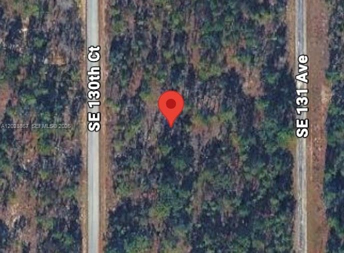 Lot 49 SE 130th Ct, Other City - In The State Of Florida, FL 34431 — zdjęcie 2