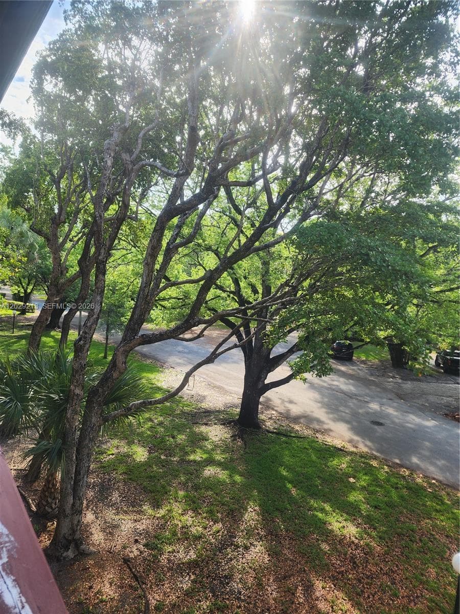 1205 Mariposa Ave # 304, Coral Gables, FL 33146 — zdjęcie 2