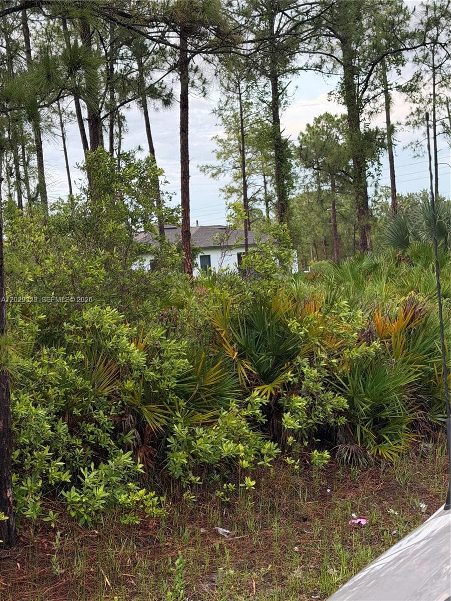 3204 32 ST W, Lehigh Acres, FL 33971 — zdjęcie 3