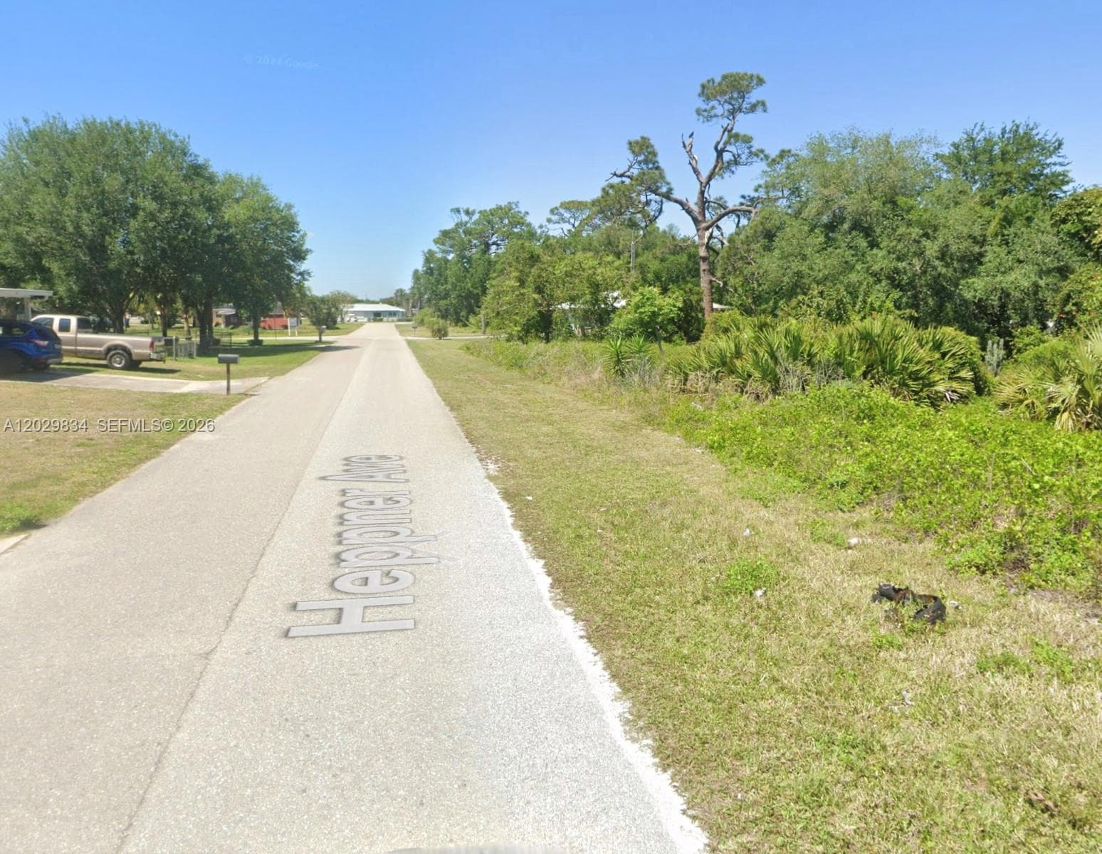 220 Heppner Ave, Lake Placid, FL 33852 — zdjęcie 4