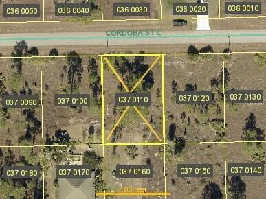 1246 Cordoba Street E, Lehigh Acres, FL 33974 — zdjęcie 2