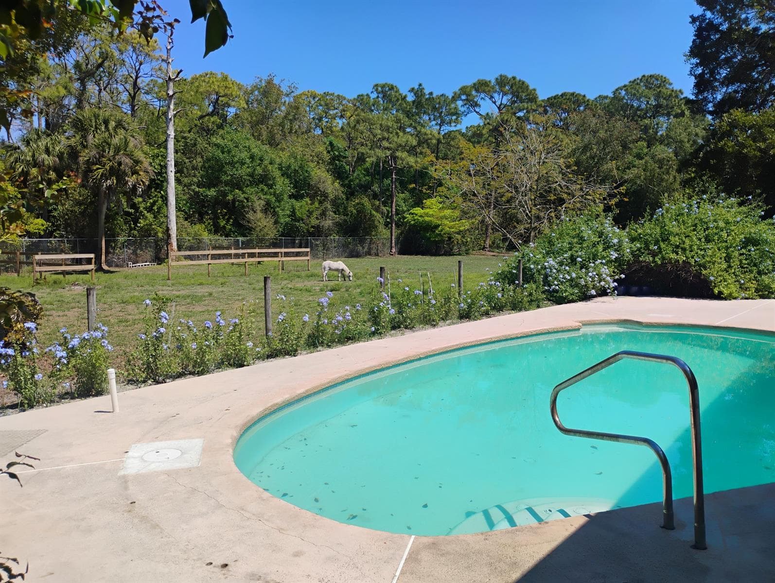 15531 42nd Road N, FL 33470 — zdjęcie 4