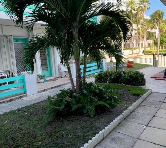 6490 Collins Ave # 3, Miami Beach, FL 33141 — zdjęcie 2