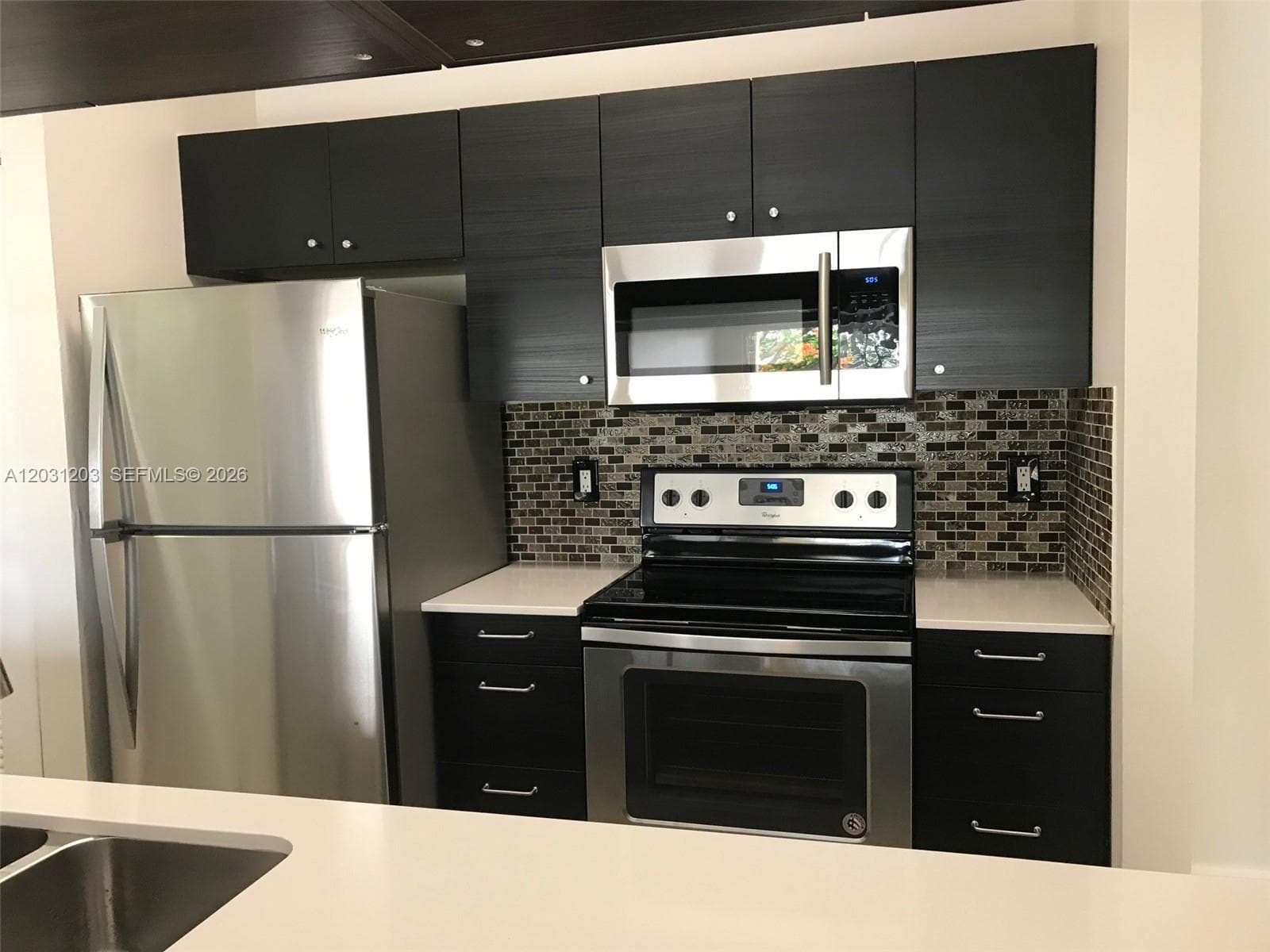 15780 SW 106th Ter # 306, Miami, FL 33196 — zdjęcie 4
