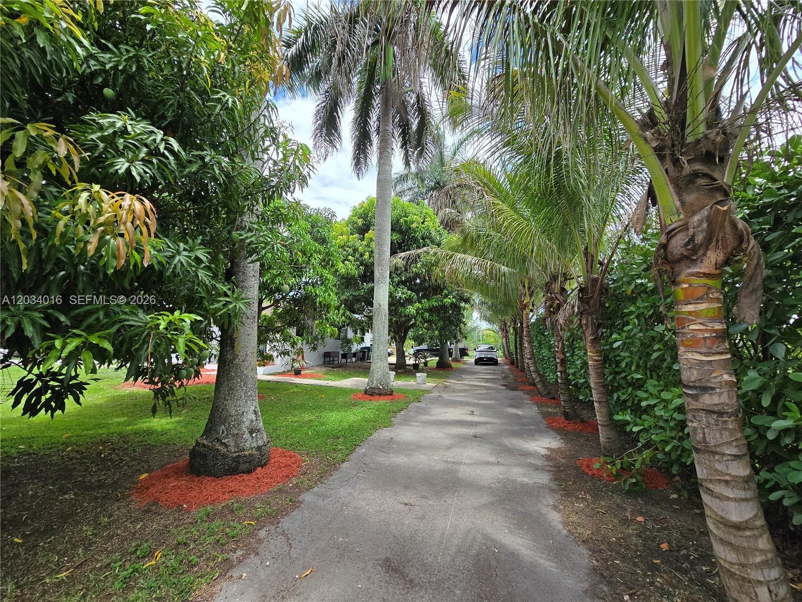 20595 SW 190th St, Miami, FL 33187 — zdjęcie 3