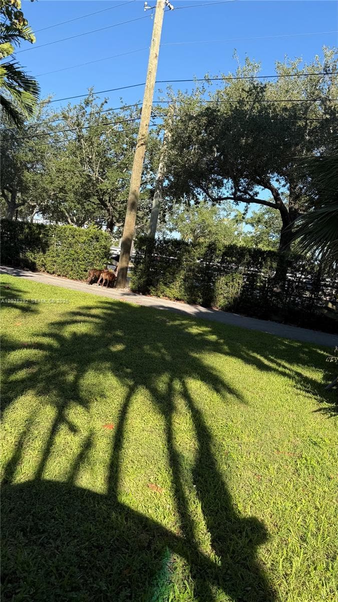 10115 Biscayne Blvd, Miami Shores, FL 33138 — zdjęcie 4