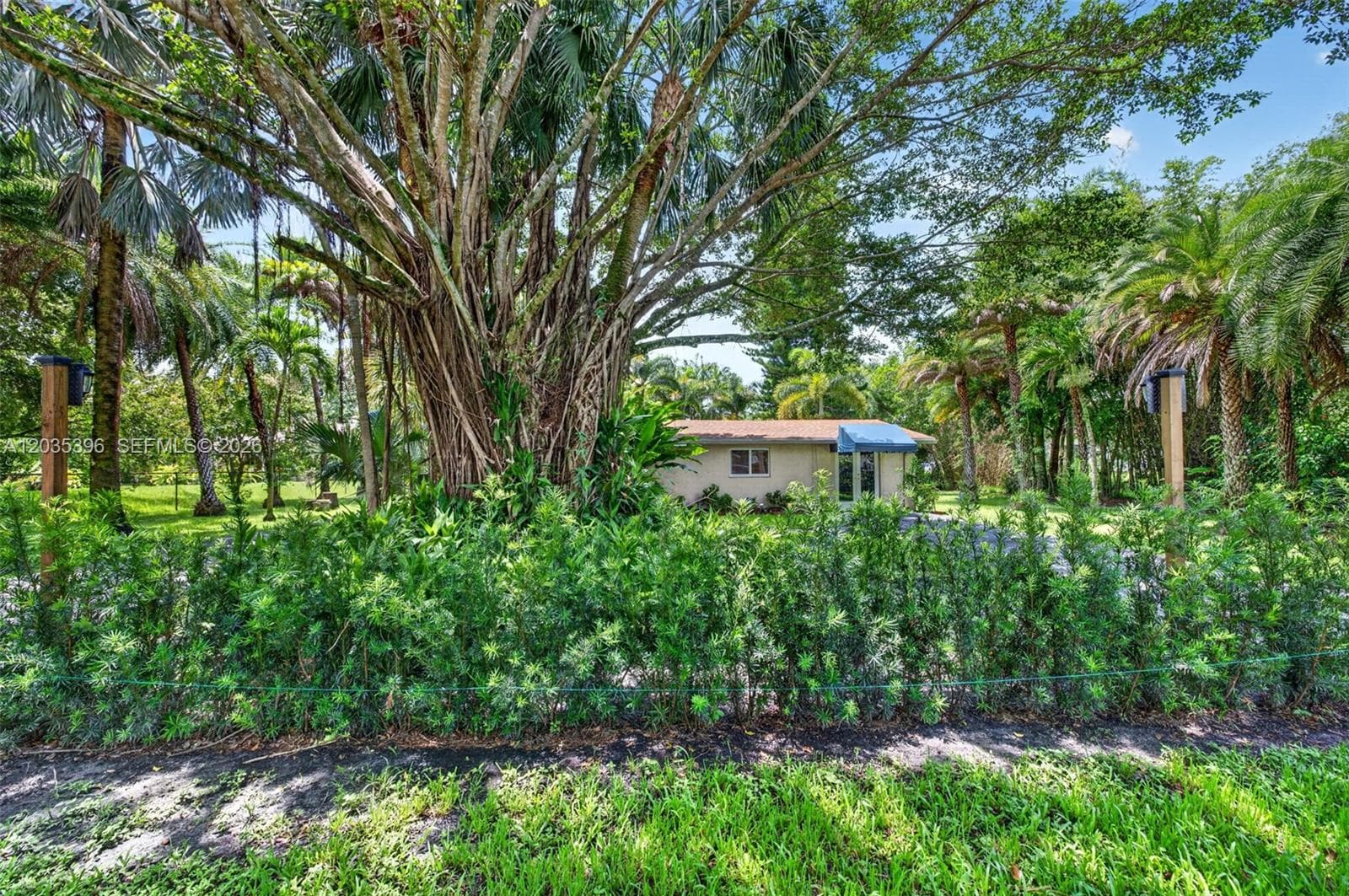 14551 SW 24th St, Davie, FL 33325 — zdjęcie 4
