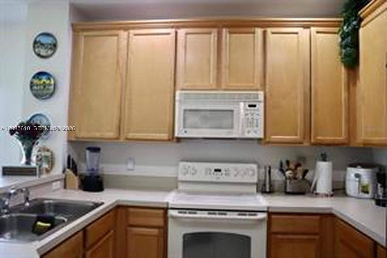 9395 Flowering Cottonwood, Orlando, FL 32832 — zdjęcie 5