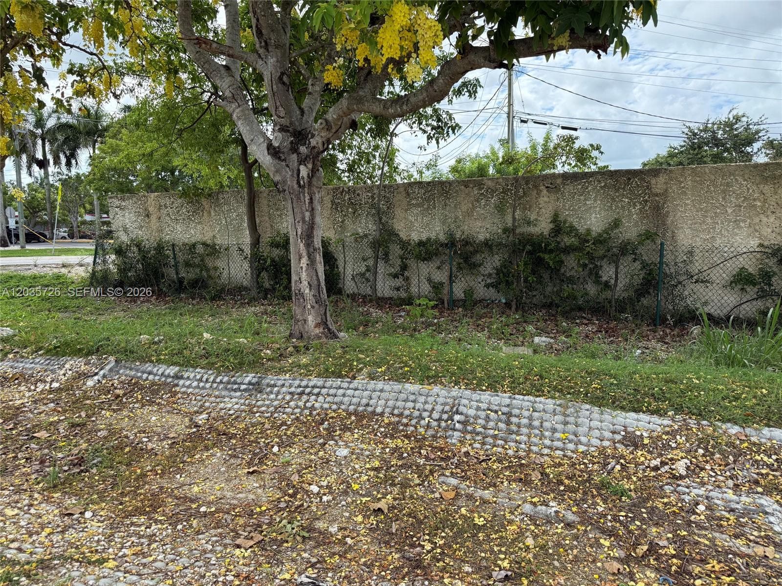 SW 157th, Homestead FL 33033 — zdjęcie 4