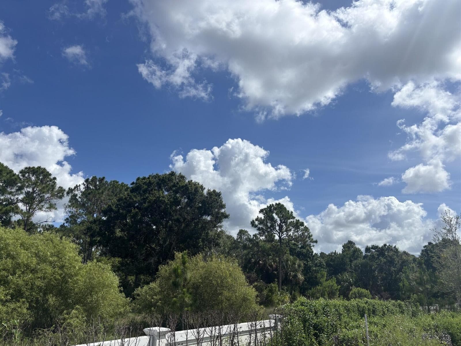 13101 Monte Rosa Court, Palm Beach Gardens, FL 33412 — zdjęcie 4