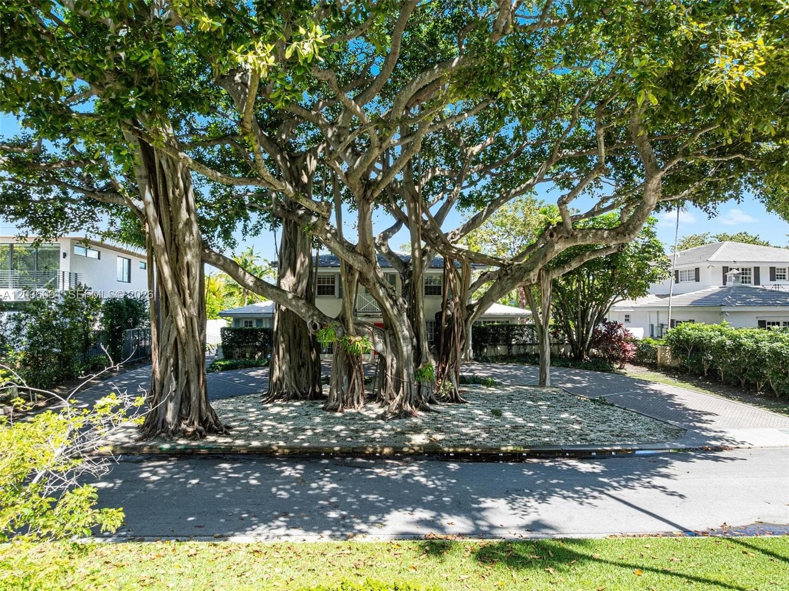 655 Buttonwood Ln, Miami, FL 33137 — zdjęcie 5