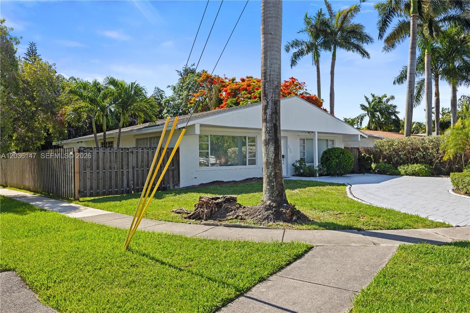 230 NE 5th Ave, Dania Beach, FL 33004 — zdjęcie 4