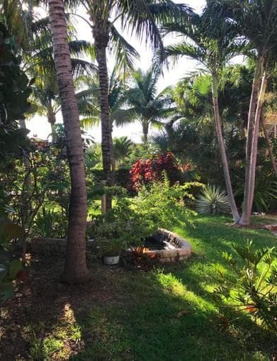 12 S Ocean Breeze # #2, FL 33460 — zdjęcie 5