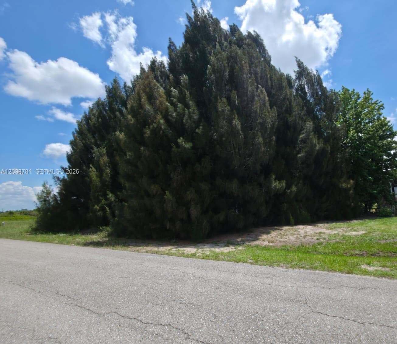 1616 LOUIS AVE, Lehigh Acres, FL 33972 — zdjęcie 3