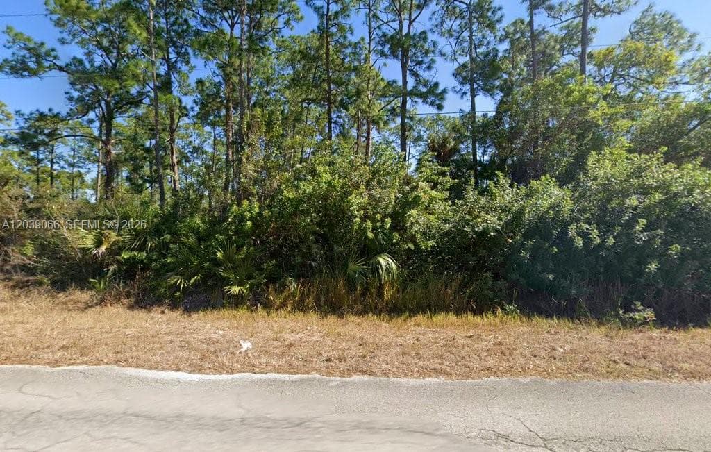 1010 Henry Ave, Lehigh Acres, FL 33972 — zdjęcie 2