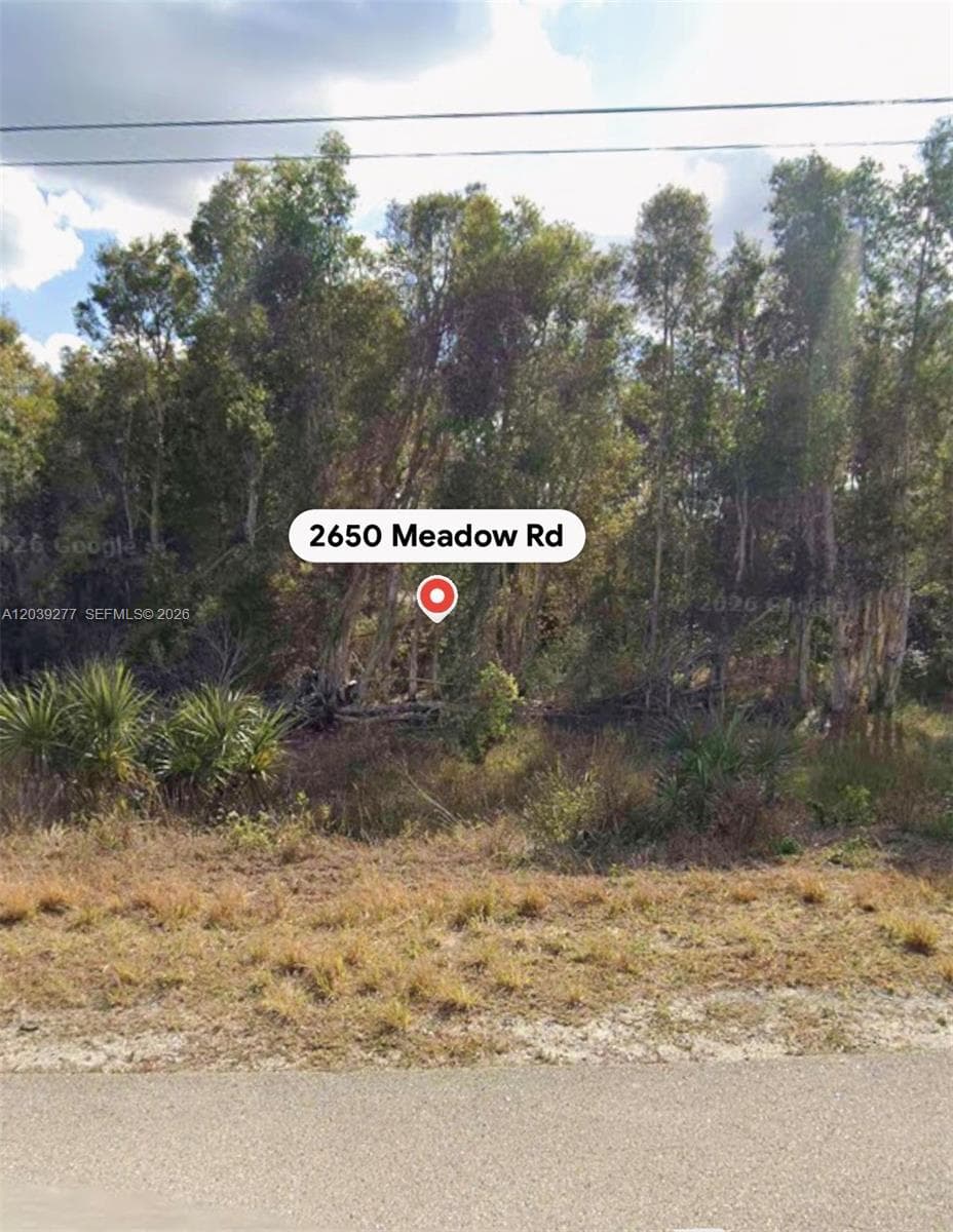 2650 Meadow RD, Lehigh Acres, FL 33974 — zdjęcie 2