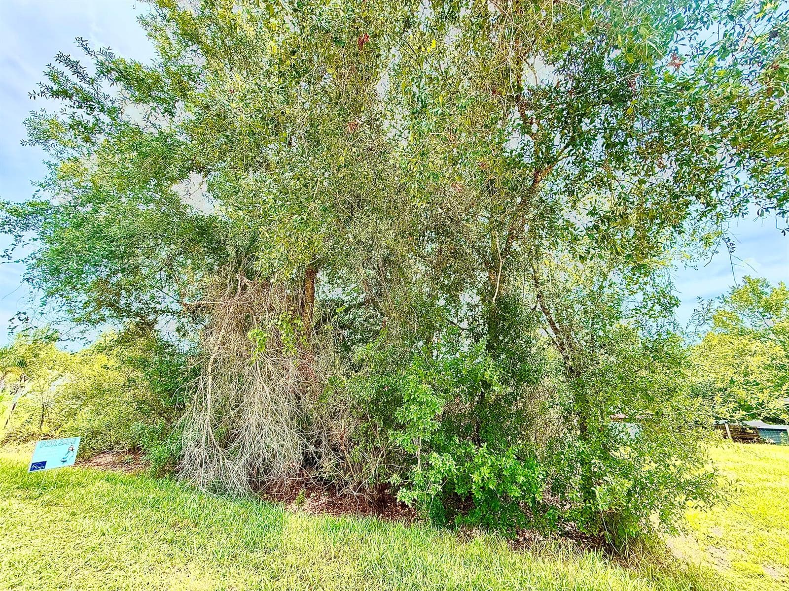 10530 NE 2nd Terrace, Okeechobee, FL 34972 — zdjęcie 5