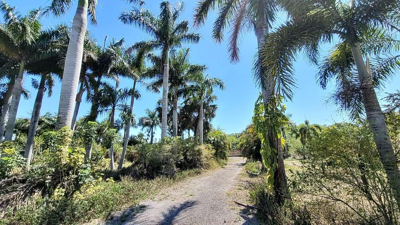 4095 Windmill Road, Loxahatchee, FL 33470 — zdjęcie 2