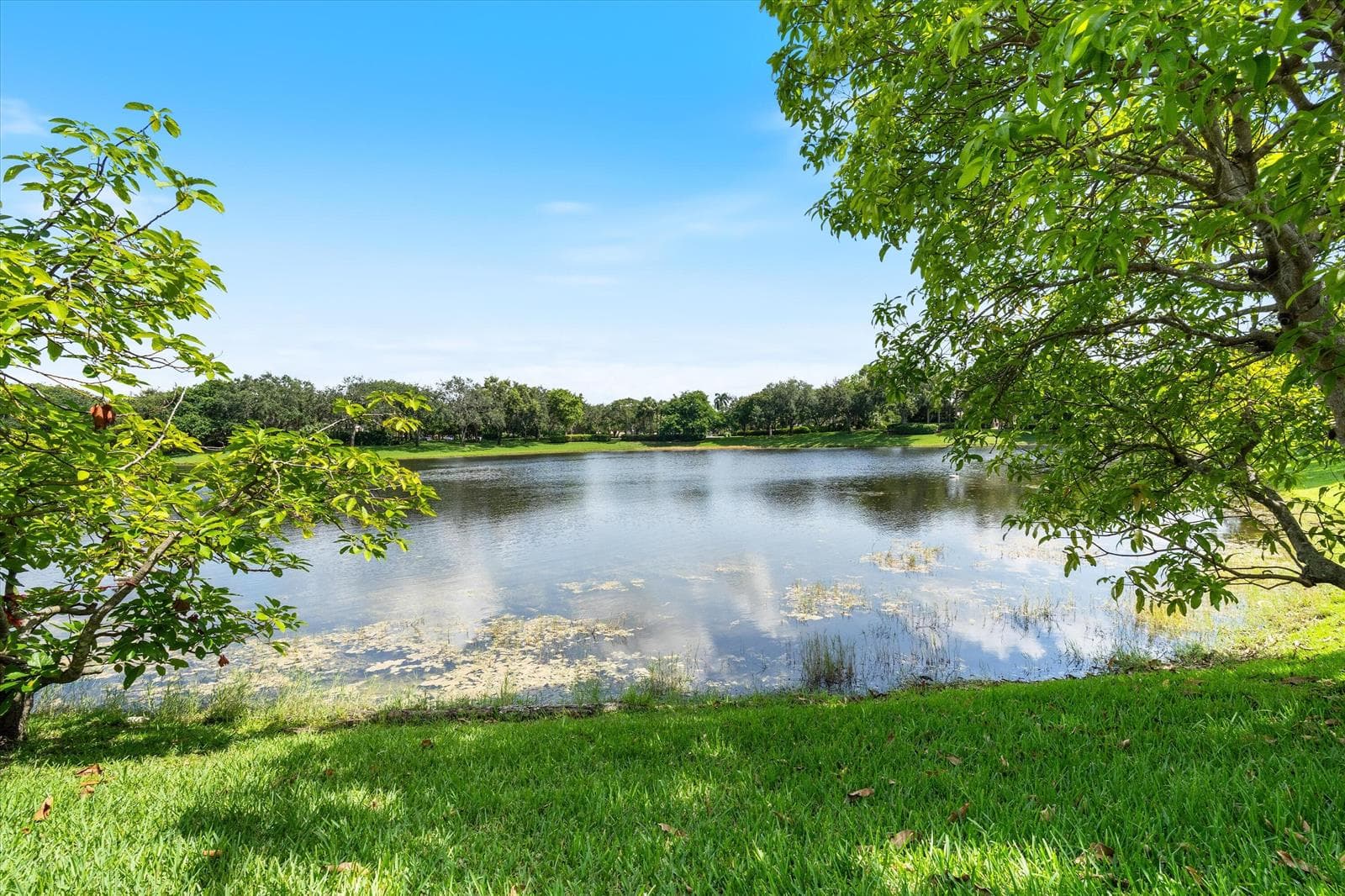 11259 NW 65th Manor, Parkland, FL 33076 — zdjęcie 5