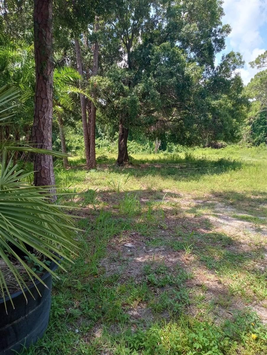6407 Park Lane E, Wellington, FL 33449 — zdjęcie 2