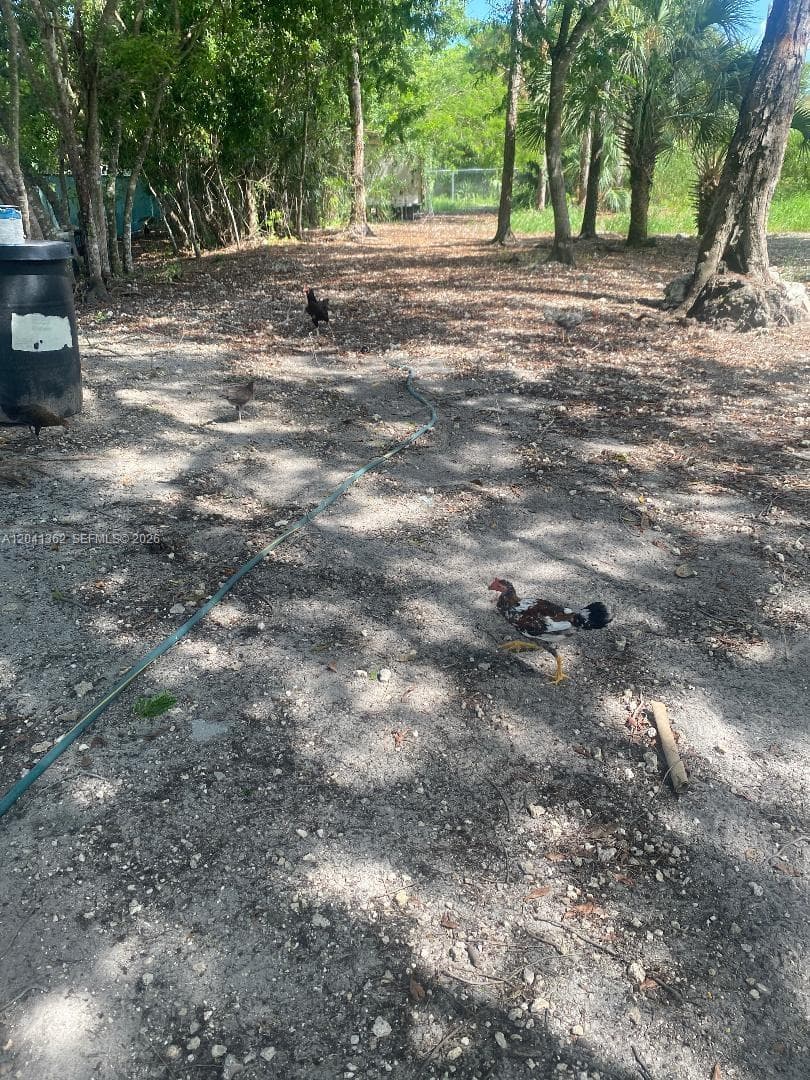 23625 SW 125 AV, Homestead, FL 33032 — zdjęcie 3
