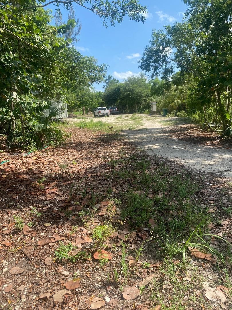 23625 SW 125 AV, Homestead, FL 33032 — zdjęcie 5