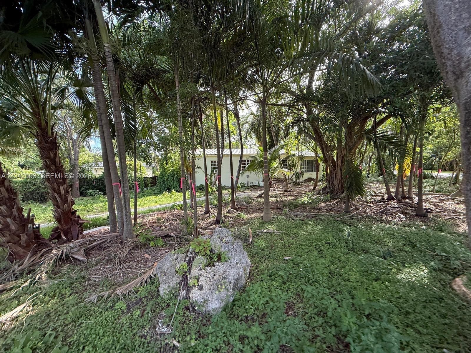 6600 SW 64th Ct, South Miami, FL 33143 — zdjęcie 2