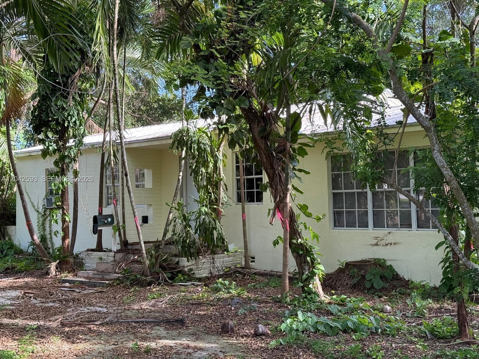 6600 SW 64th Ct, South Miami, FL 33143 — zdjęcie 3