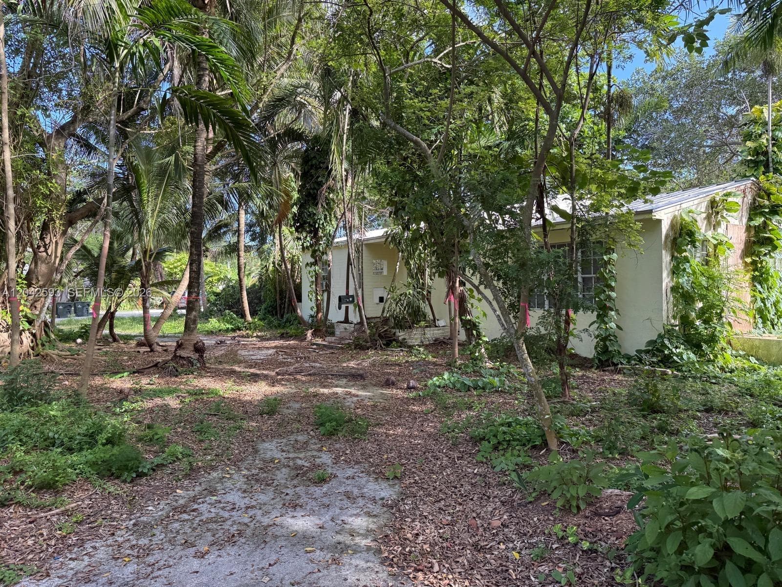 6600 SW 64th Ct, South Miami, FL 33143 — zdjęcie 5