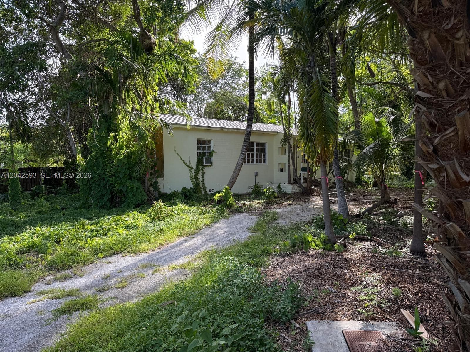 6600 SW 64th Ct, South Miami, FL 33143 — zdjęcie 4