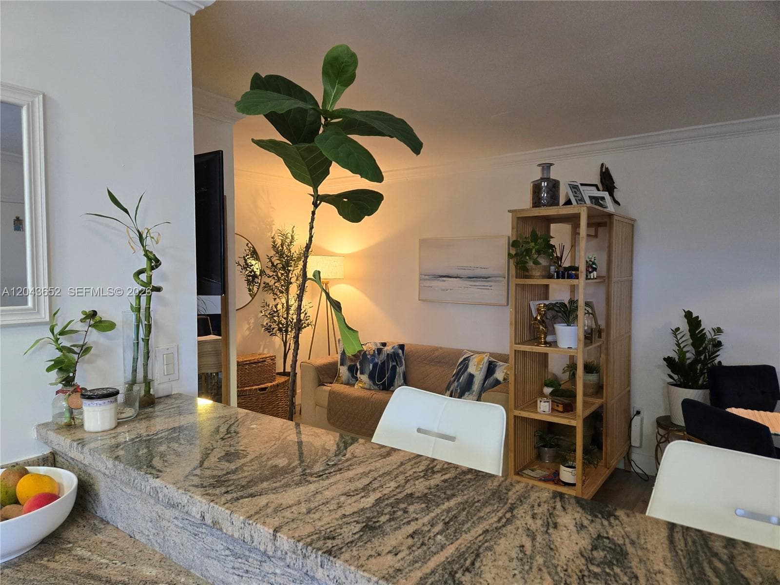 820 Salzedo St # 405, Coral Gables, FL 33134 — zdjęcie 5