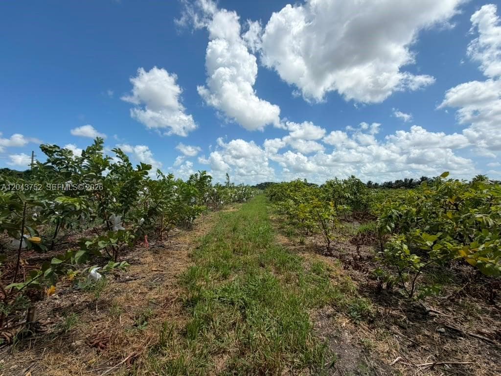 15805 SW 205 Avenue, Miami FL 33187 — zdjęcie 4