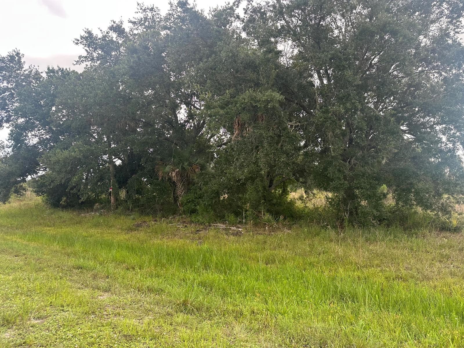 0 NW 313th Street NW, Okeechobee, FL 34972 — zdjęcie 2