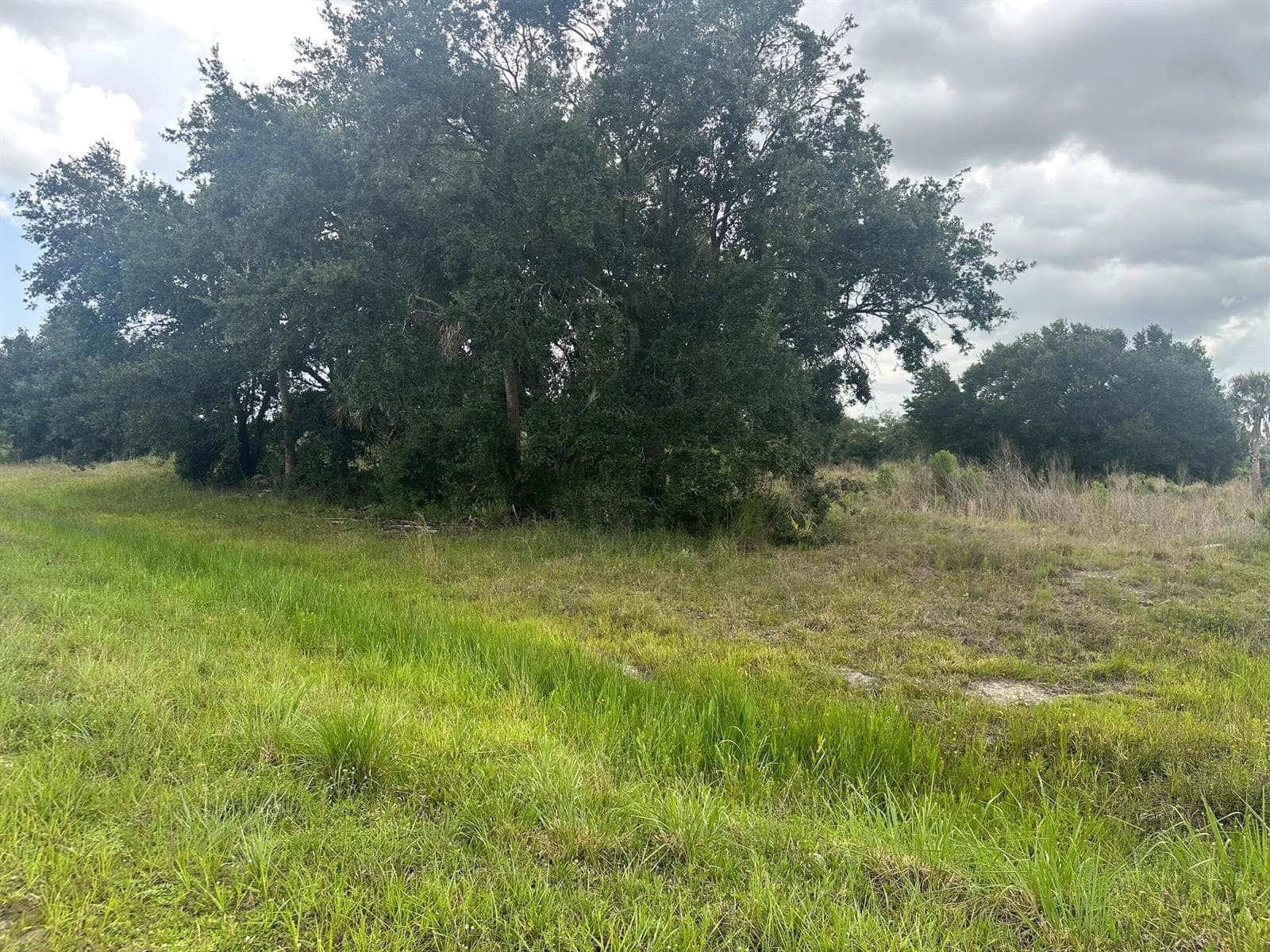 0 NW 313th Street NW, Okeechobee, FL 34972 — zdjęcie 3