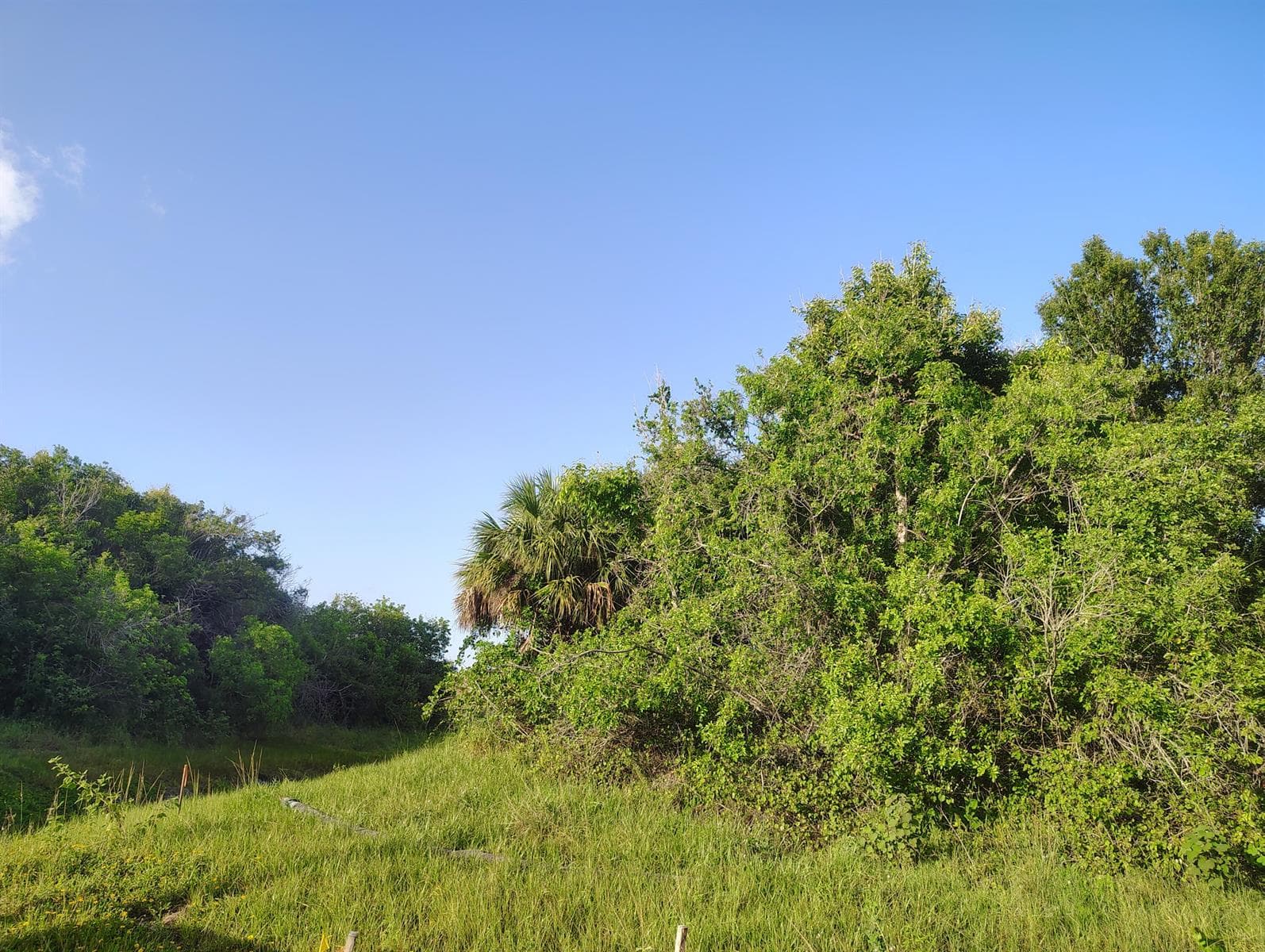 3921 SW Port Saint Lucie Boulevard, Port St. Lucie, FL 34953 — zdjęcie 3