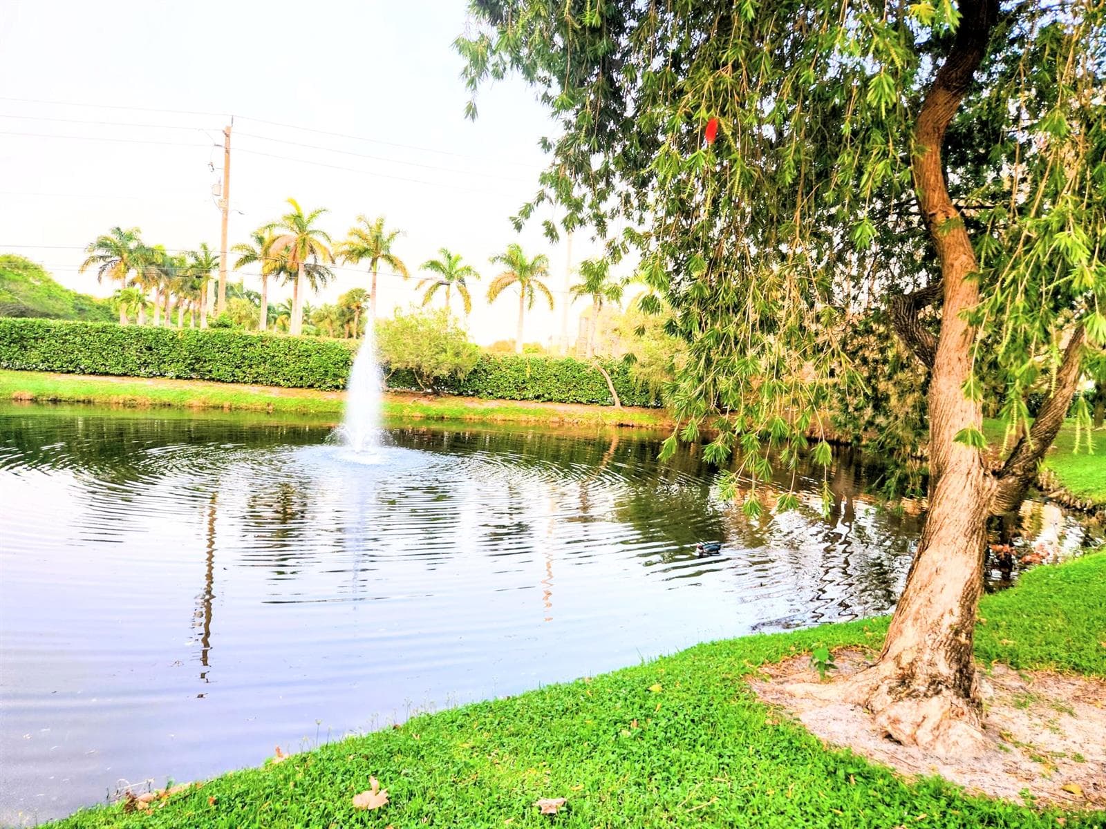 1020 Crystal Way # C, Delray Beach, FL 33444 — zdjęcie 5