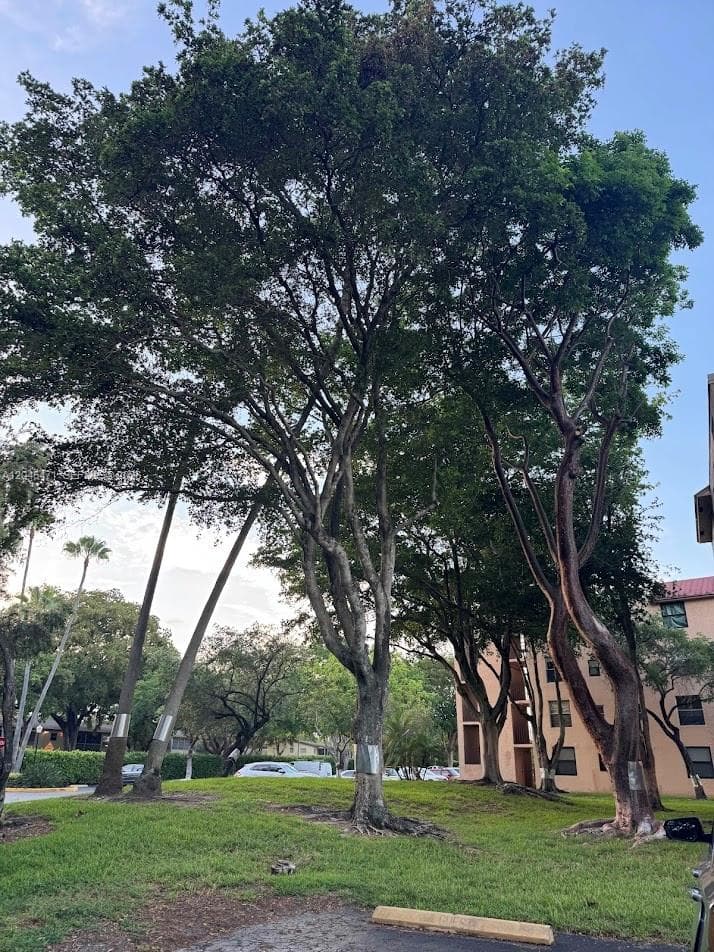 7591 NW 1st St # 403, Margate, FL 33063 — zdjęcie 4
