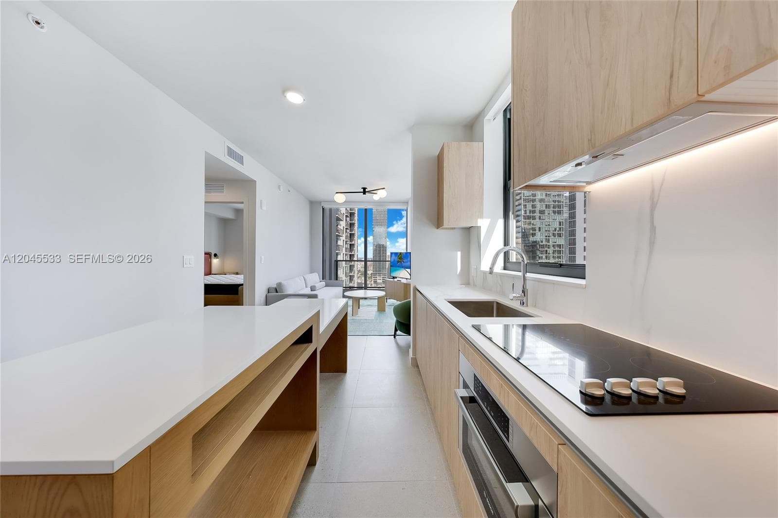 11 NE 6th St # 3209, Miami, FL 33132 — zdjęcie 4