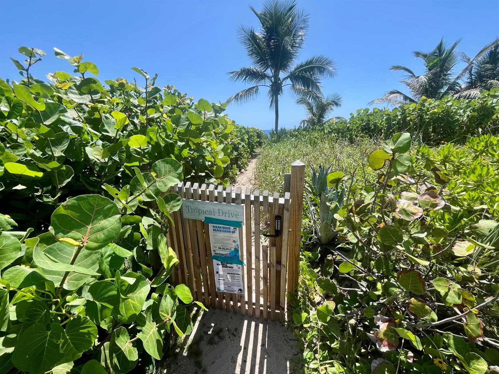 14 Tropical Drive, Ocean Ridge, FL 33435 — zdjęcie 2
