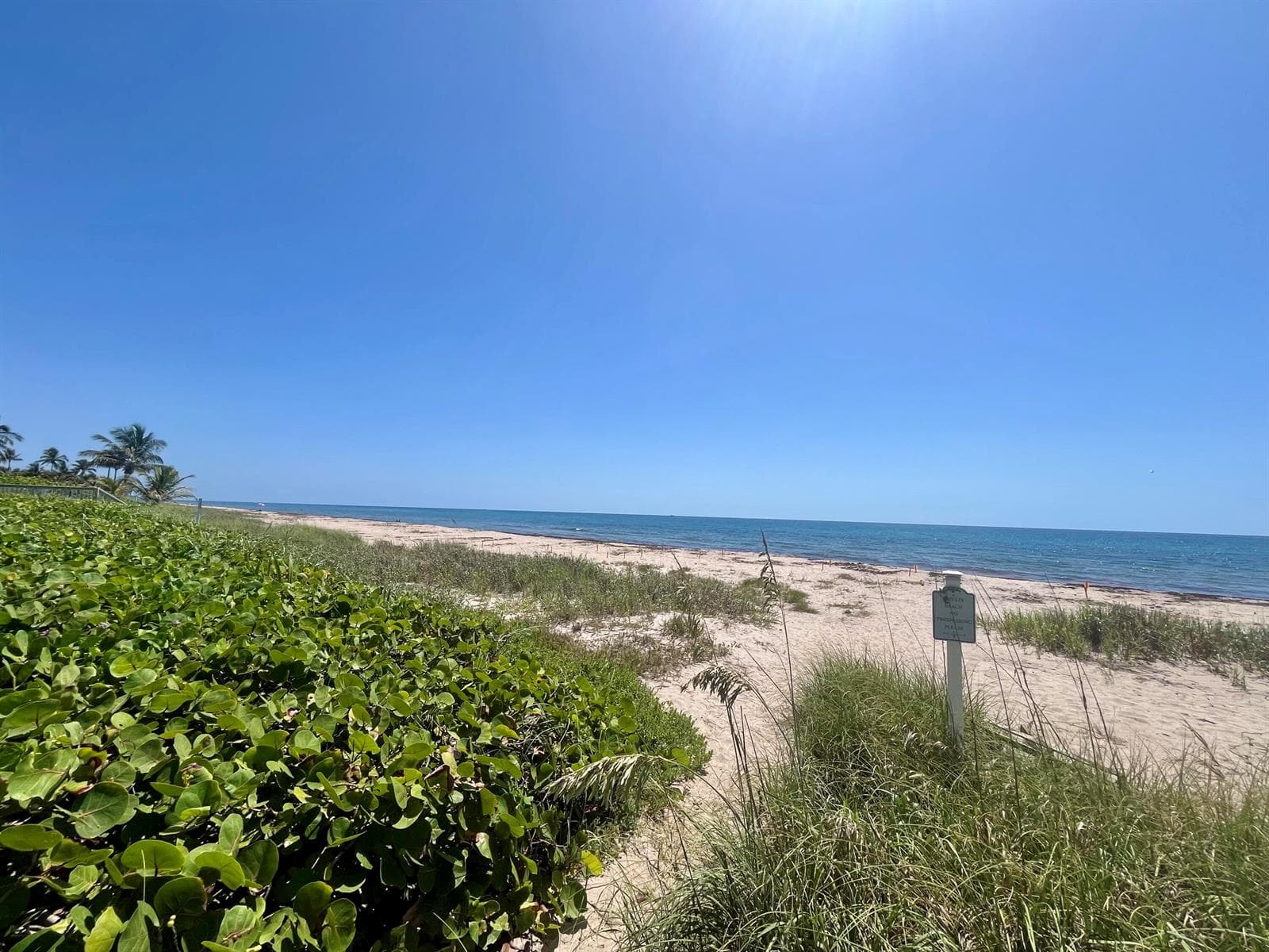 14 Tropical Drive, Ocean Ridge, FL 33435 — zdjęcie 4