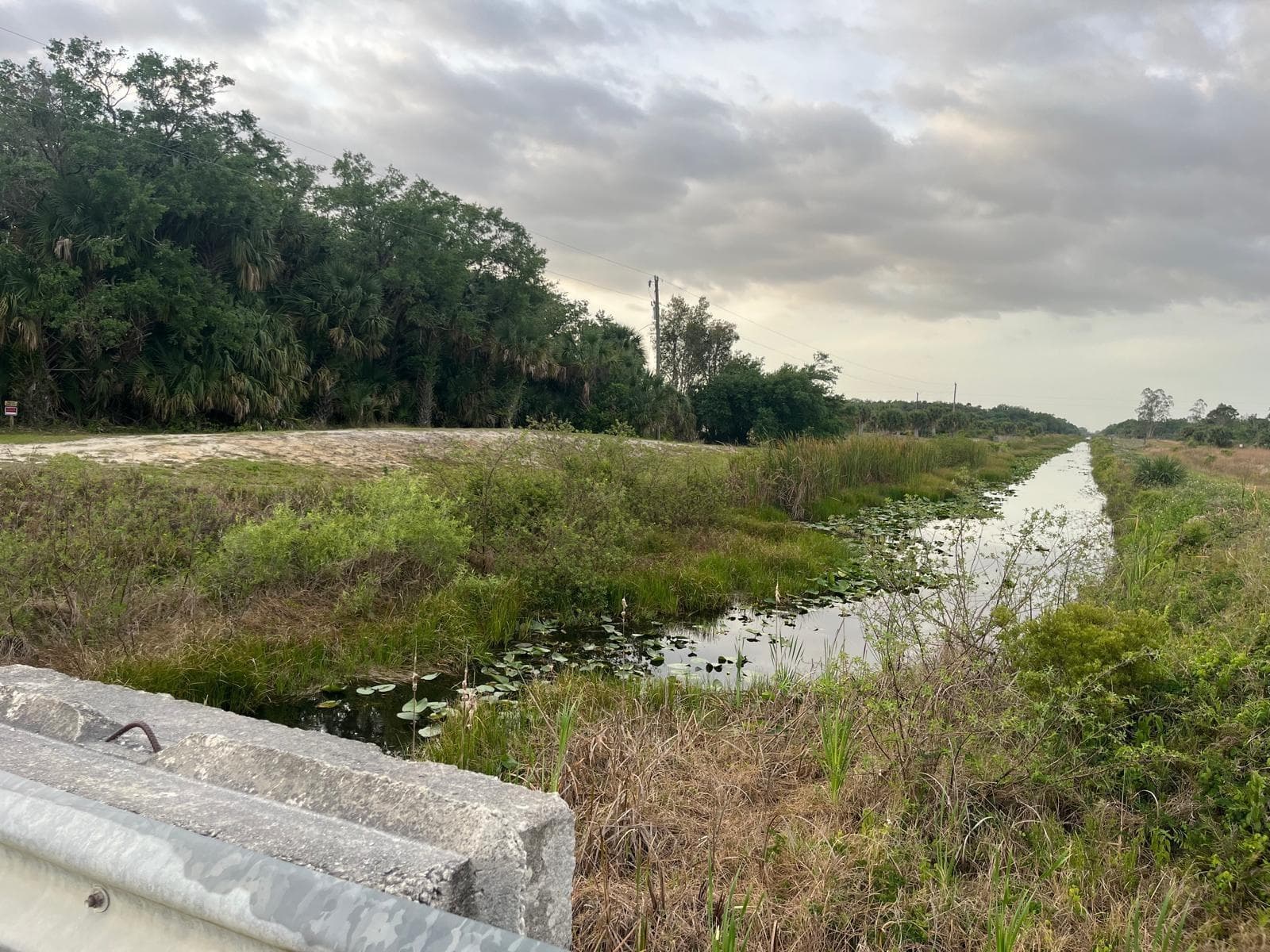 15148 NW 288th Street, Okeechobee, FL 34972 — zdjęcie 5