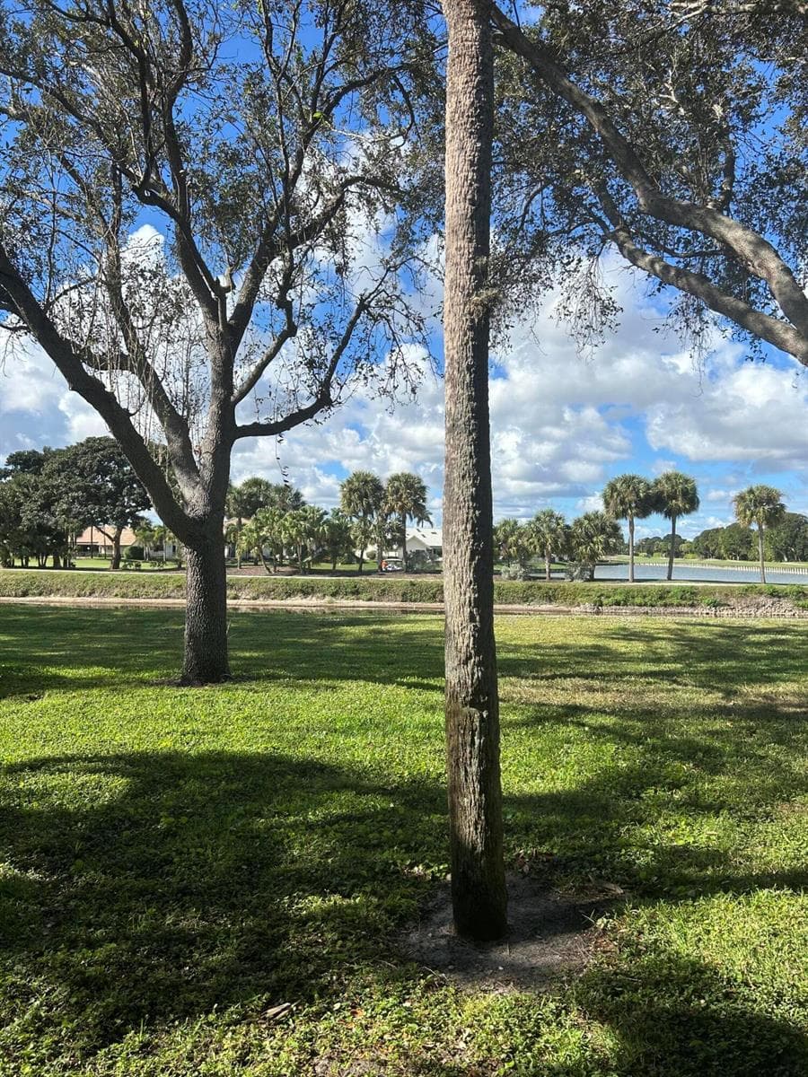 2900 SW 22nd Circle # 221d, Delray Beach, FL 33445 — zdjęcie 4