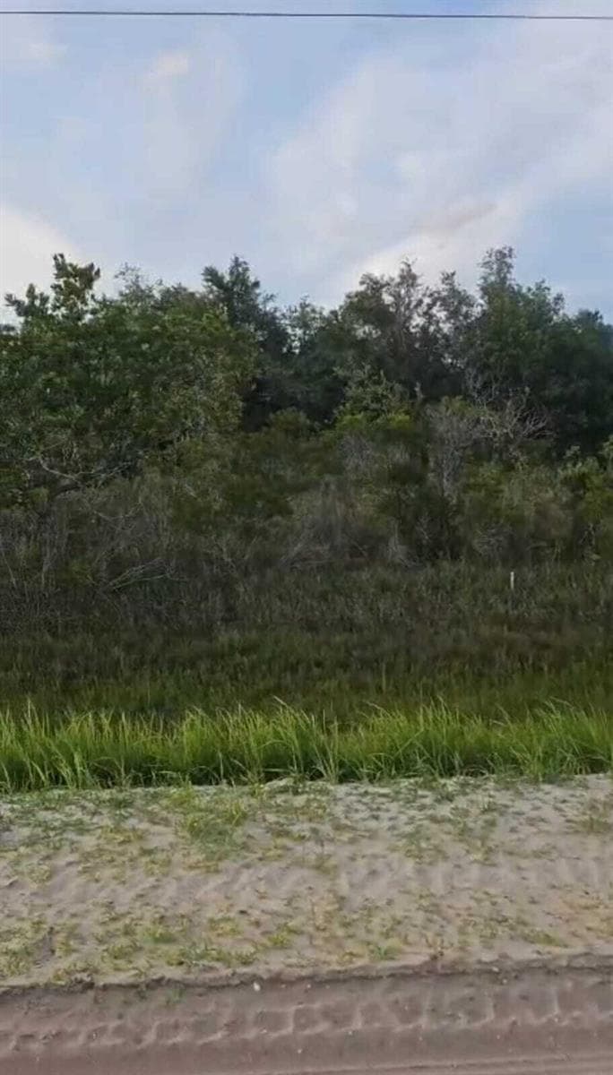 15775 NW 304th Street, Okeechobee, FL 34972 — zdjęcie 3