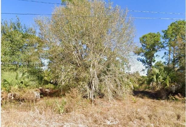 3602 63rd St W, Lehigh Acres, FL 33971