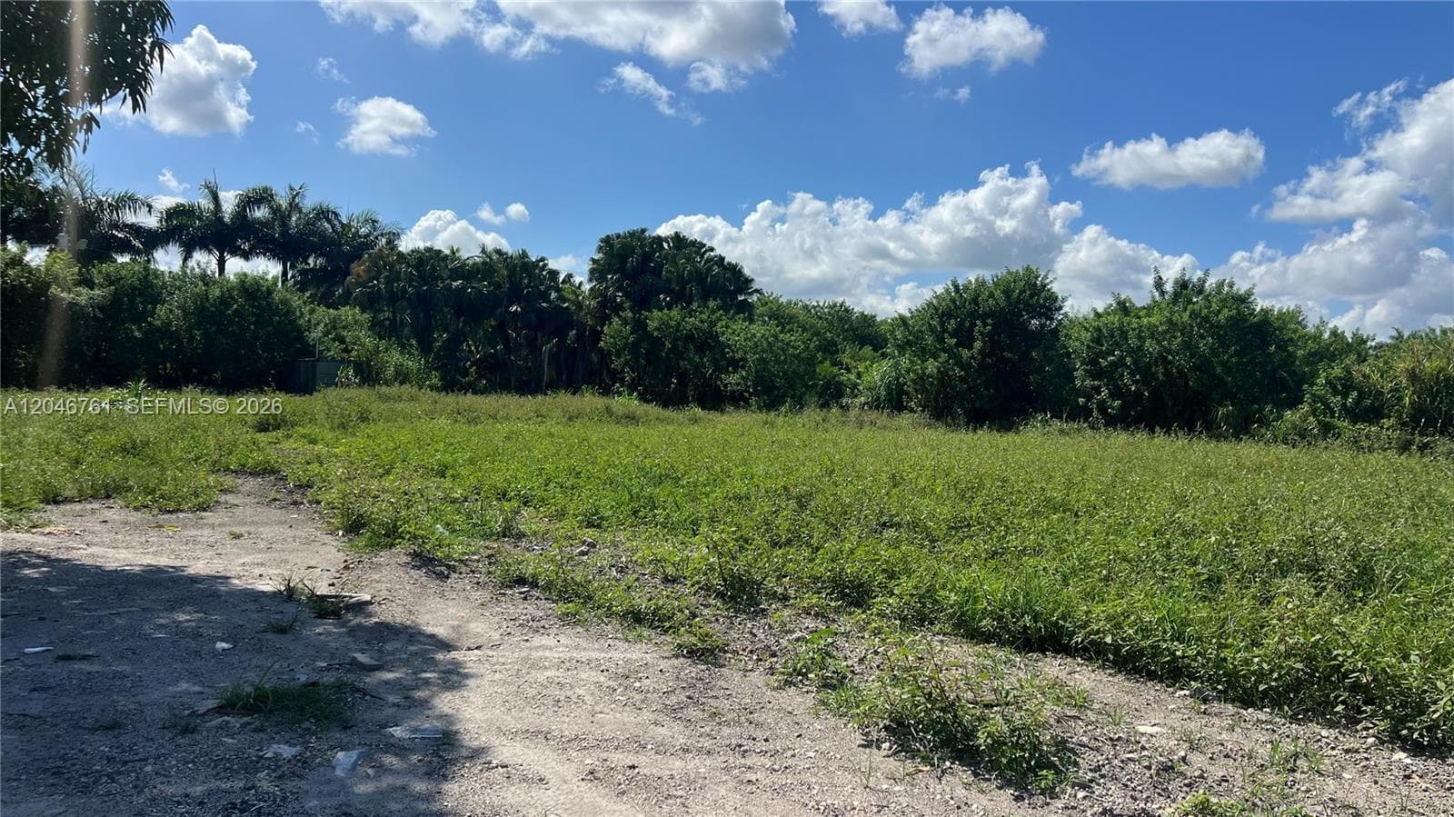 15820 SW 209th Ave, Miami, FL 33187 — zdjęcie 3