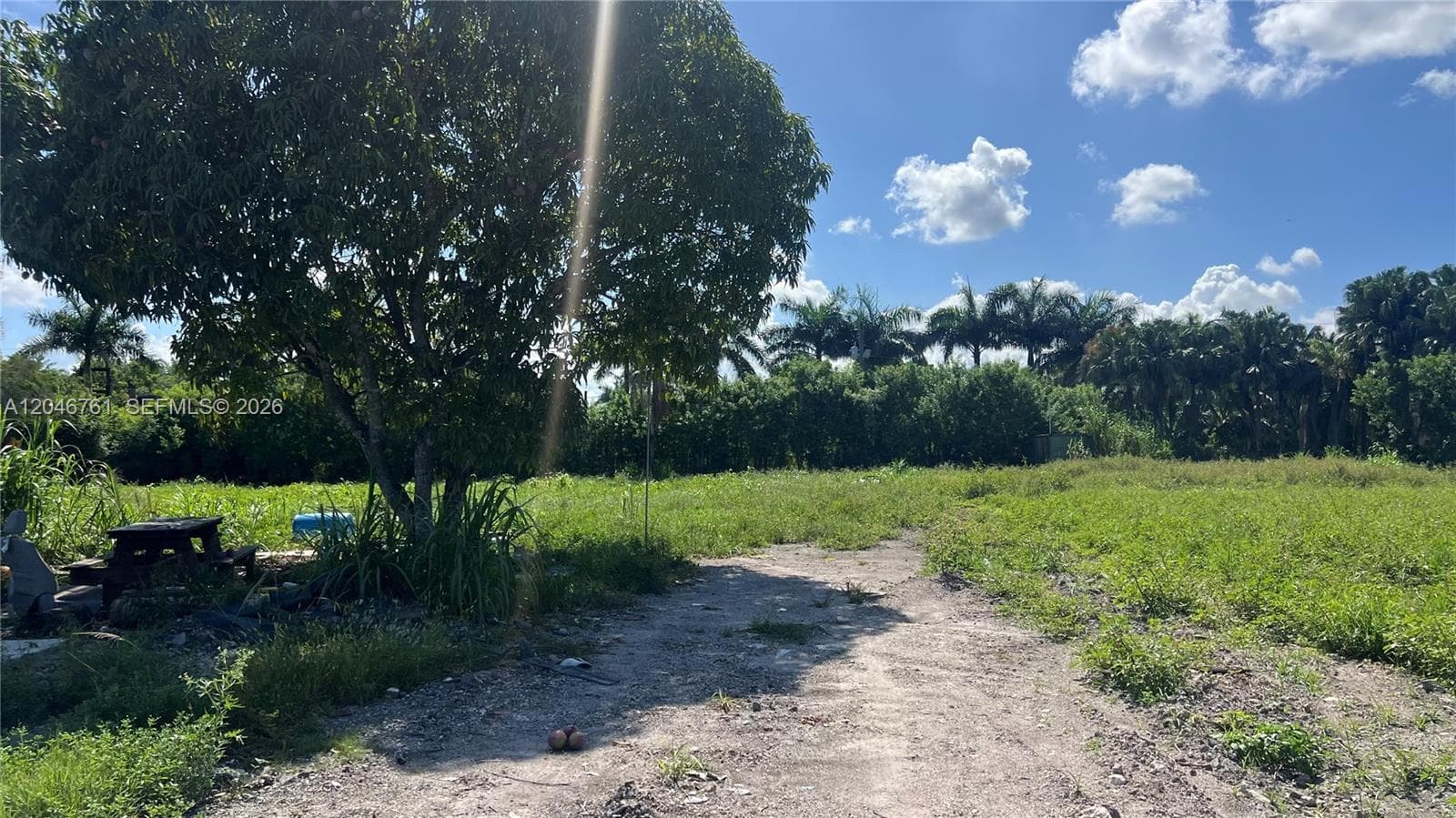 15820 SW 209th Ave, Miami, FL 33187 — zdjęcie 4
