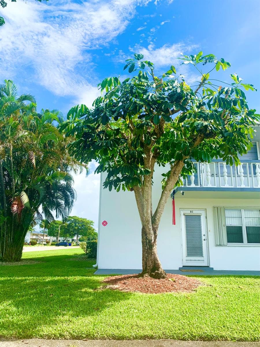 81 Kingswood E, West Palm Beach, FL 33417