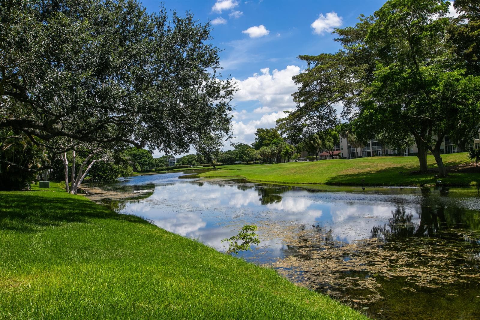 9441 Live Oak Place # 106, Davie, FL 33324